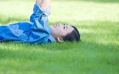 japonensisjava二级在线